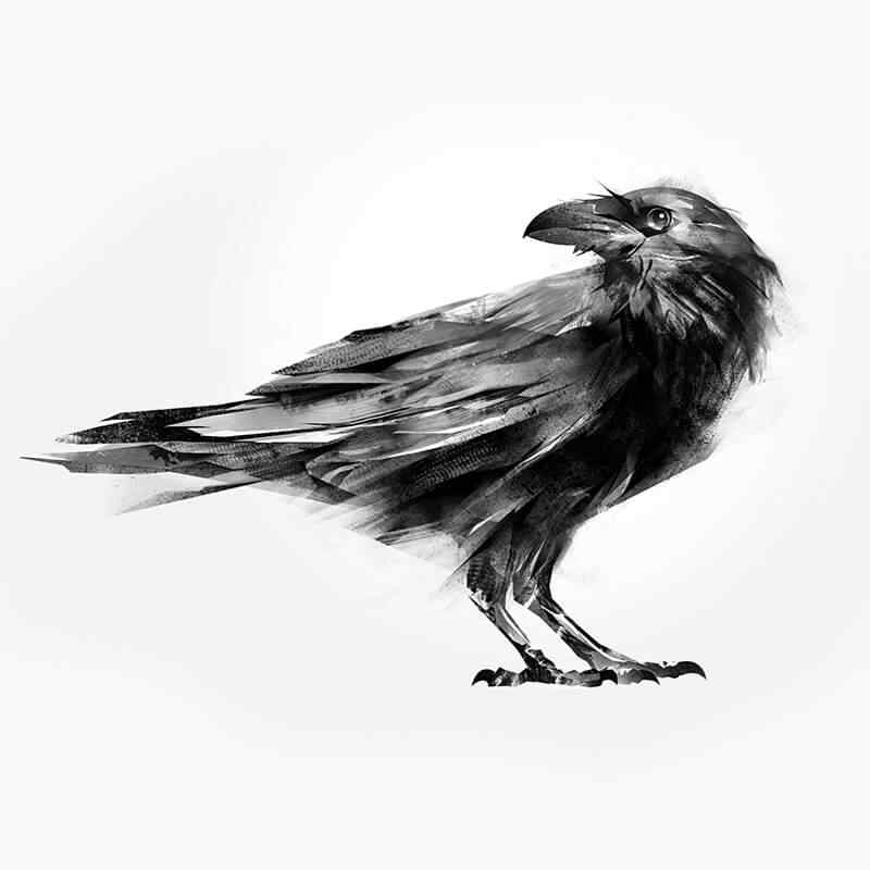 https://harmony.digitallo.net/wp-content/uploads/2019/03/courses_02.jpg