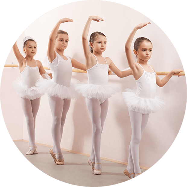 https://harmony.digitallo.net/wp-content/uploads/2019/05/our_classes_image_03.png