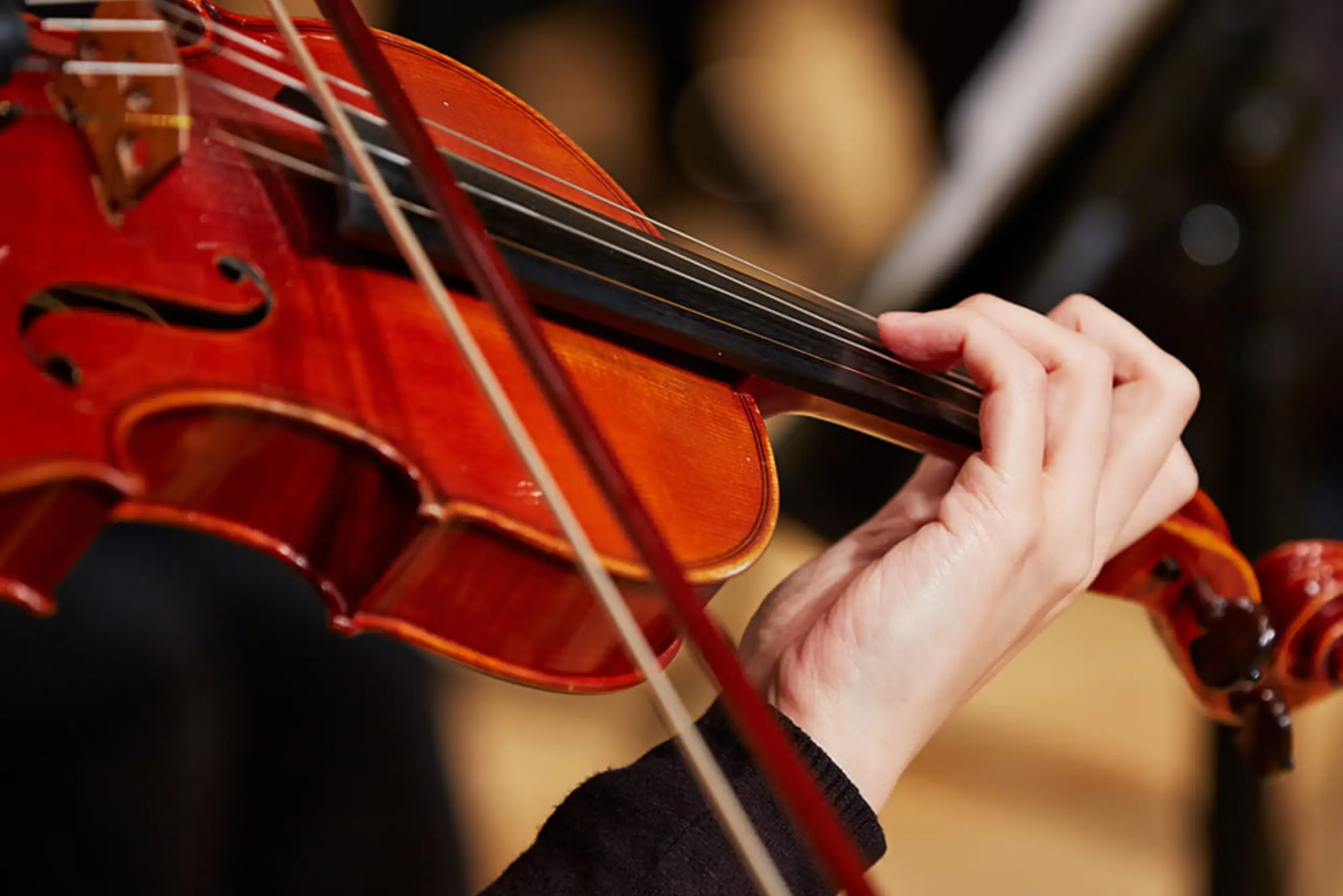 https://harmony.digitallo.net/wp-content/uploads/2026/07/violin.webp