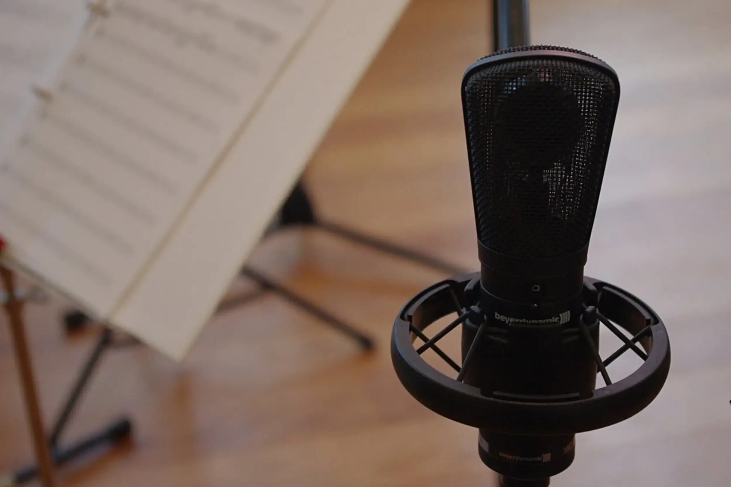 https://harmony.digitallo.net/wp-content/uploads/2026/07/vocal.webp